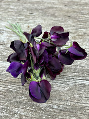 Load image into Gallery viewer, A bundle of dark purple flowers againsta ooden background