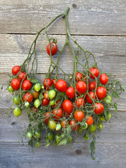 Load image into Gallery viewer, Stem of red and green tomatoes on a wooden surface