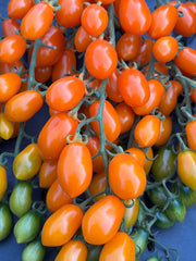 Load image into Gallery viewer, Close-up of orange cherry tomatoes on a blue background
