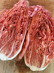 Load image into Gallery viewer, Radicchio (Rosa del Veneto), 'Jolanda' – photo 2