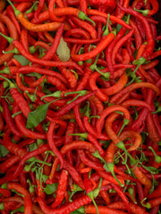 Load image into Gallery viewer, Hot Pepper, 'Aci Sivri' – photo 2