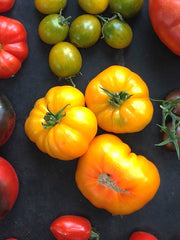 Load image into Gallery viewer, Tomato, 'Afghan' – photo 3