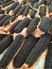 Load image into Gallery viewer, Corn, 'Dakota Black' – photo 2
