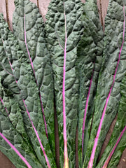 Load image into Gallery viewer, Kale, 'Dazzling Blue' – photo 3