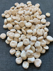 Load image into Gallery viewer, A pile of beige lupine seeds on a dark background.