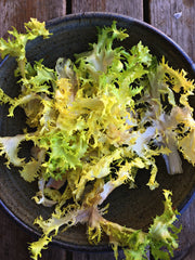 Load image into Gallery viewer, Curly Endive, 'Bellesque' – photo 2
