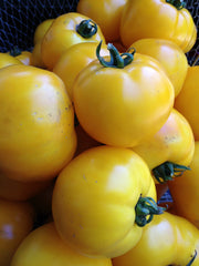 Load image into Gallery viewer, Tomato, 'Manyel'