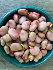 Load image into Gallery viewer, Fava, 'Karmazyn'