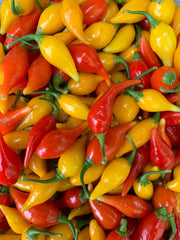 Load image into Gallery viewer, Hot Pepper, 'Biquinho Yellow' – photo 4