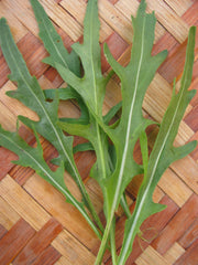 Load image into Gallery viewer, Arugula, 'Rucola'