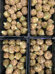 Load image into Gallery viewer, Celeriac, 'Monarch' – photo 2