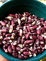 Load image into Gallery viewer, Bean, Bush Dry, 'Jacob's Cattle' – photo 2