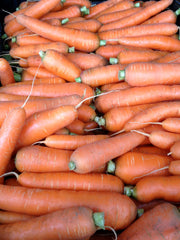 Load image into Gallery viewer, Carrot, 'Scarlet Nantes' – photo 2