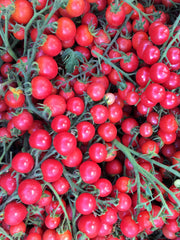 Load image into Gallery viewer, Tomato, 'Pinky' – photo 2