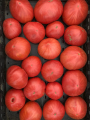 Load image into Gallery viewer, Several red tomatoes on a black tray
