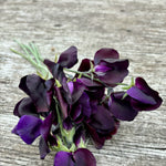 Load image into Gallery viewer, A bundle of dark purple flowers againsta ooden background
