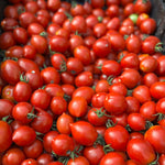 Load image into Gallery viewer, Pile of small red tomatoes with green stems
