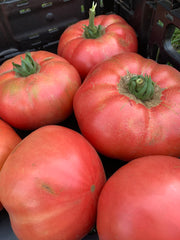 Load image into Gallery viewer, Tomato, 'Kurtovo Konare' – photo 2
