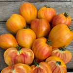 Load image into Gallery viewer, A group of 'Midnight Sun' tomatoes with a yellow and red streaked appearance, displayed on a wooden surface.
