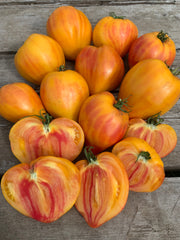 Load image into Gallery viewer, A group of 'Midnight Sun' tomatoes with a yellow and red streaked appearance, displayed on a wooden surface.

