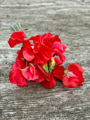 Load image into Gallery viewer, A bundle of pink/red flowers on a wooden backround
