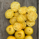Load image into Gallery viewer, Tomato, 'Sandburg'
