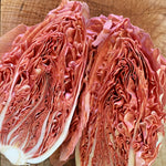 Load image into Gallery viewer, Radicchio (Rosa del Veneto), 'Jolanda' – photo 2
