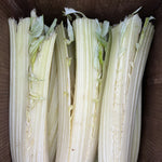 Load image into Gallery viewer, Three stalks of blanched cardoon on a wooden surface
