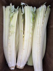 Load image into Gallery viewer, Three stalks of blanched cardoon on a wooden surface
