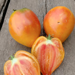 Load image into Gallery viewer, Tomato, 'Midnight Sun' – photo 2
