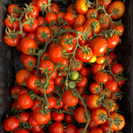 Load image into Gallery viewer, Tomato, 'Annarita'
