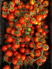Load image into Gallery viewer, Tomato, 'Annarita'
