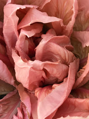 Load image into Gallery viewer, Close-up image of pink radicchio leaves with a soft focus effect.
