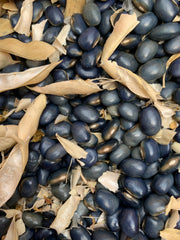 Load image into Gallery viewer, Bean, Pole Dry, 'San Bernardo Blue' – photo 2
