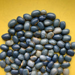 Load image into Gallery viewer, A collection of 'San Bernardo Blue' dry beans spread out on a surface, displaying their unique blue color.
