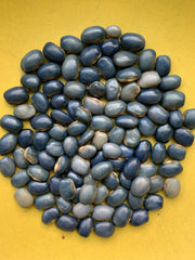 Load image into Gallery viewer, A collection of 'San Bernardo Blue' dry beans spread out on a surface, displaying their unique blue color.
