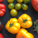 Load image into Gallery viewer, Tomato, 'Afghan' – photo 3
