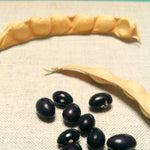 Load image into Gallery viewer, Bean, Pole Dry, 'Tolosa' – photo 2
