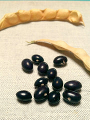 Load image into Gallery viewer, Bean, Pole Dry, 'Tolosa' – photo 2
