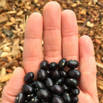 Load image into Gallery viewer, Bean, Pole Dry, 'Tolosa'
