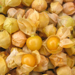 Load image into Gallery viewer, Ground Cherry 'Aunt Molly's'
