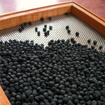 Load image into Gallery viewer, Garbanzo, 'Black Kabouli'
