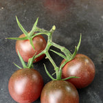 Load image into Gallery viewer, Tomato, 'Black Cherry' – photo 2
