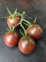 Load image into Gallery viewer, Tomato, 'Black Cherry' – photo 2
