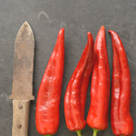Load image into Gallery viewer, Sweet Pepper, 'Bridge to Paris' – photo 2
