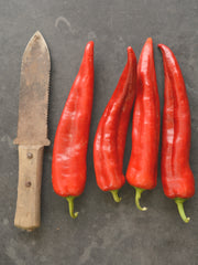 Load image into Gallery viewer, Sweet Pepper, 'Bridge to Paris' – photo 2
