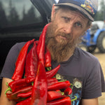 Load image into Gallery viewer, A person with a beard holding a bunch of bright red, long sweet peppers.

