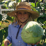 Load image into Gallery viewer, Cabbage, 'Columbia' – photo 2
