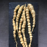 Load image into Gallery viewer, Cucumber (Mexican Sour Gherkin, Cucamelon), 'Sandita' – photo 3
