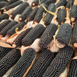 Load image into Gallery viewer, Corn, 'Dakota Black' – photo 2
